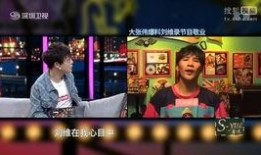 刘维爆料录音视频大全下载,揭秘娱乐圈幕后真相